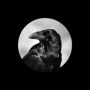 徐佳丽久草欧美视频在线观看
